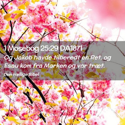 Picture 02 - 1 Mosebog 25:29 DA1871 - Og Jakob havde tilberedt en Ret, og Esau kom fra - Bible Verse Picture
