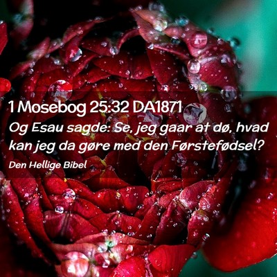 Picture 02 - 1 Mosebog 25:32 DA1871 - Og Esau sagde: Se, jeg gaar at dø, hvad kan jeg - Bible Verse Picture