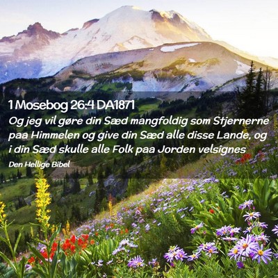 Picture 02 - 1 Mosebog 26:4 DA1871 - Og jeg vil gøre din Sæd mangfoldig som - Bible Verse Picture