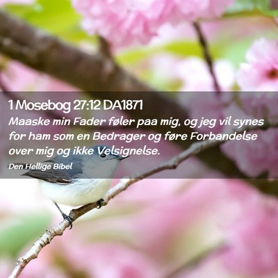 Picture 02 - 1 Mosebog 27:12 DA1871 - Maaske min Fader føler paa mig, og jeg vil synes - Bible Verse Picture
