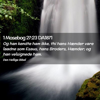 Picture 02 - 1 Mosebog 27:23 DA1871 - Og han kendte ham ikke, thi hans Hænder vare - Bible Verse Picture