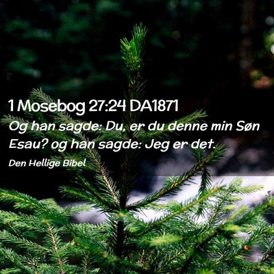 Picture 02 - 1 Mosebog 27:24 DA1871 - Og han sagde: Du, er du denne min Søn Esau? og - Bible Verse Picture