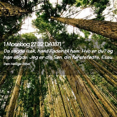 Picture 02 - 1 Mosebog 27:32 DA1871 - Da sagde Isak, hans Fader til ham: Hvo er du? og - Bible Verse Picture