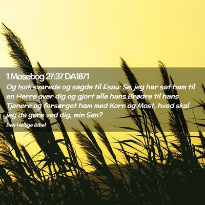 Picture 02 - 1 Mosebog 27:37 DA1871 - Og Isak svarede og sagde til Esau: Se, jeg har - Bible Verse Picture