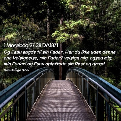 Picture 02 - 1 Mosebog 27:38 DA1871 - Og Esau sagde til sin Fader: Har du ikke uden - Bible Verse Picture