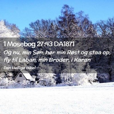 Picture 02 - 1 Mosebog 27:43 DA1871 - Og nu, min Søn, hør min Røst og staa op, fly - Bible Verse Picture