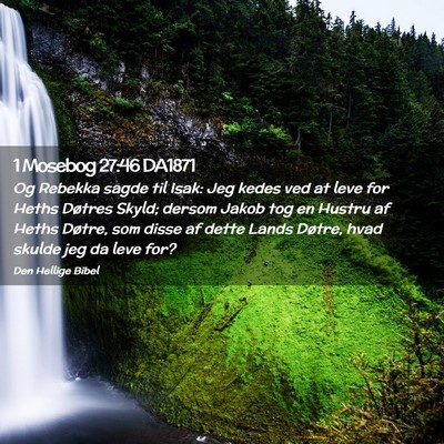 Picture 02 - 1 Mosebog 27:46 DA1871 - Og Rebekka sagde til Isak: Jeg kedes ved at leve - Bible Verse Picture