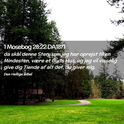 Picture 02 - 1 Mosebog 28:22 DA1871 - da skal denne Sten, som jeg har oprejst til en - Bible Verse Picture