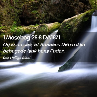Picture 02 - 1 Mosebog 28:8 DA1871 - Og Esau saa, at Kanaans Døtre ikke behagede Isak - Bible Verse Picture