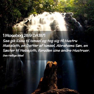Picture 02 - 1 Mosebog 28:9 DA1871 - Saa gik Esau til Ismael og tog sig til Hustru - Bible Verse Picture