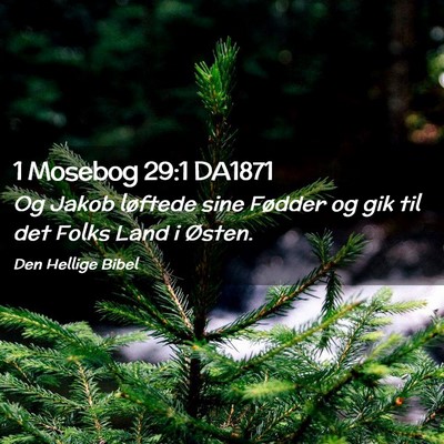 Picture 02 - 1 Mosebog 29:1 DA1871 - Og Jakob løftede sine Fødder og gik til det - Bible Verse Picture