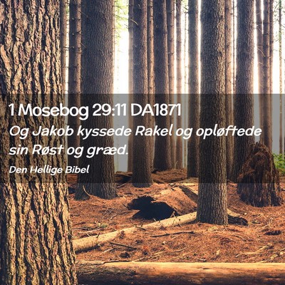 Picture 02 - 1 Mosebog 29:11 DA1871 - Og Jakob kyssede Rakel og opløftede sin Røst og - Bible Verse Picture