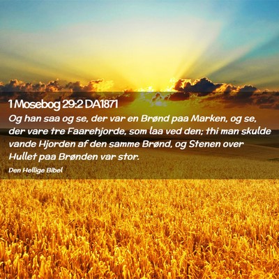 Picture 02 - 1 Mosebog 29:2 DA1871 - Og han saa og se, der var en Brønd paa Marken, - Bible Verse Picture