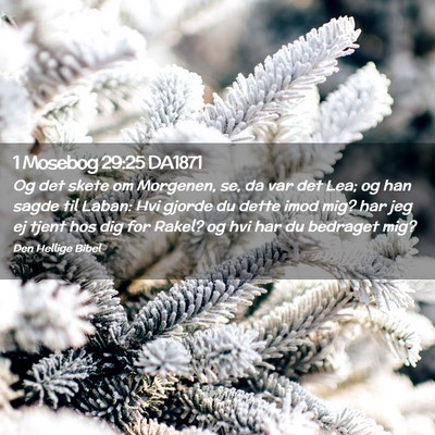 Picture 02 - 1 Mosebog 29:25 DA1871 - Og det skete om Morgenen, se, da var det Lea; og - Bible Verse Picture