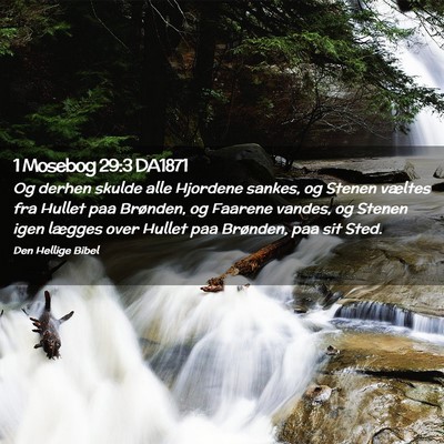 Picture 02 - 1 Mosebog 29:3 DA1871 - Og derhen skulde alle Hjordene sankes, og Stenen - Bible Verse Picture