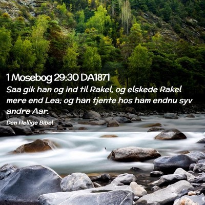 Picture 02 - 1 Mosebog 29:30 DA1871 - Saa gik han og ind til Rakel, og elskede Rakel - Bible Verse Picture