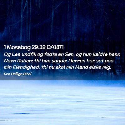 Picture 02 - 1 Mosebog 29:32 DA1871 - Og Lea undfik og fødte en Søn, og hun kaldte - Bible Verse Picture