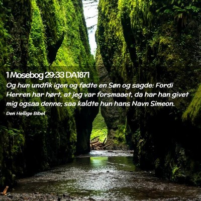 Picture 02 - 1 Mosebog 29:33 DA1871 - Og hun undfik igen og fødte en Søn og sagde: - Bible Verse Picture