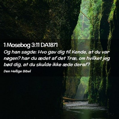 Picture 02 - 1 Mosebog 3:11 DA1871 - Og han sagde: Hvo gav dig til Kende, at du var - Bible Verse Picture