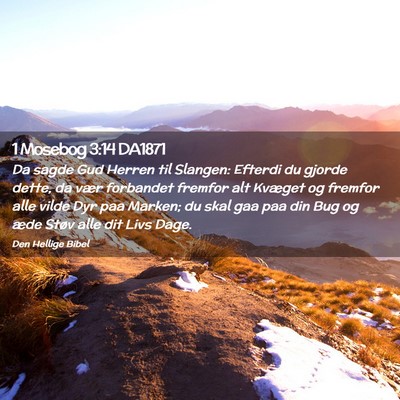 Picture 02 - 1 Mosebog 3:14 DA1871 - Da sagde Gud Herren til Slangen: Efterdi du - Bible Verse Picture