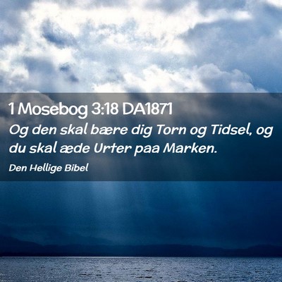 Picture 02 - 1 Mosebog 3:18 DA1871 - Og den skal bære dig Torn og Tidsel, og du skal - Bible Verse Picture