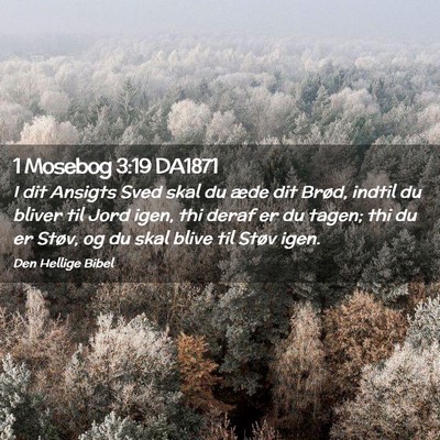 Picture 02 - 1 Mosebog 3:19 DA1871 - I dit Ansigts Sved skal du æde dit Brød, indtil - Bible Verse Picture