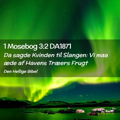 Picture 02 - 1 Mosebog 3:2 DA1871 - Da sagde Kvinden til Slangen: Vi maa æde af - Bible Verse Picture