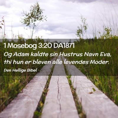 Picture 02 - 1 Mosebog 3:20 DA1871 - Og Adam kaldte sin Hustrus Navn Eva, thi hun er - Bible Verse Picture