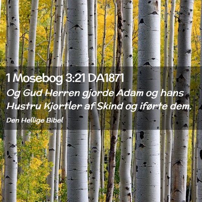 Picture 02 - 1 Mosebog 3:21 DA1871 - Og Gud Herren gjorde Adam og hans Hustru Kjortler - Bible Verse Picture