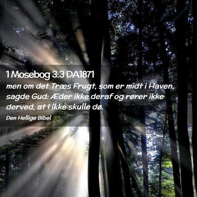 Picture 02 - 1 Mosebog 3:3 DA1871 - men om det Træs Frugt, som er midt i Haven, - Bible Verse Picture