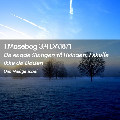 Picture 02 - 1 Mosebog 3:4 DA1871 - Da sagde Slangen til Kvinden: I skulle ikke dø - Bible Verse Picture
