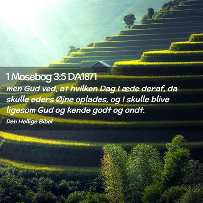 Picture 02 - 1 Mosebog 3:5 DA1871 - men Gud ved, at hvilken Dag I æde deraf, da - Bible Verse Picture