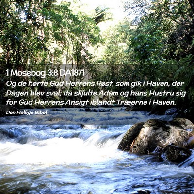 Picture 02 - 1 Mosebog 3:8 DA1871 - Og de hørte Gud Herrens Røst, som gik i Haven, - Bible Verse Picture