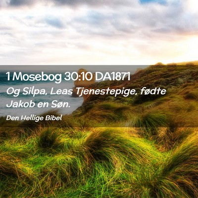 Picture 02 - 1 Mosebog 30:10 DA1871 - Og Silpa, Leas Tjenestepige, fødte Jakob en - Bible Verse Picture