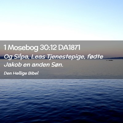 Picture 02 - 1 Mosebog 30:12 DA1871 - Og Silpa, Leas Tjenestepige, fødte Jakob en - Bible Verse Picture