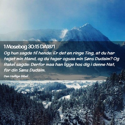 Picture 02 - 1 Mosebog 30:15 DA1871 - Og hun sagde til hende: Er det en ringe Ting, at - Bible Verse Picture