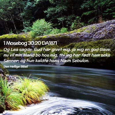 Picture 02 - 1 Mosebog 30:20 DA1871 - Og Lea sagde: Gud har givet mig, ja mig en god - Bible Verse Picture