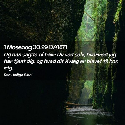 Picture 02 - 1 Mosebog 30:29 DA1871 - Og han sagde til ham: Du ved selv, hvormed jeg - Bible Verse Picture