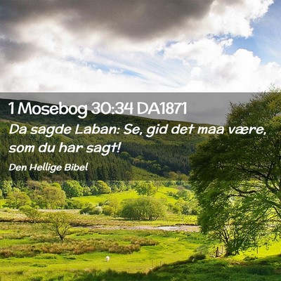 Picture 02 - 1 Mosebog 30:34 DA1871 - Da sagde Laban: Se, gid det maa være, som du har - Bible Verse Picture