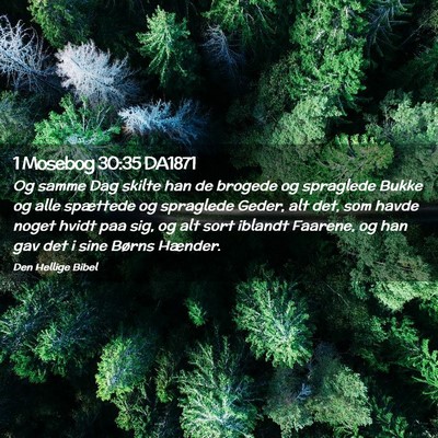 Picture 02 - 1 Mosebog 30:35 DA1871 - Og samme Dag skilte han de brogede og spraglede - Bible Verse Picture