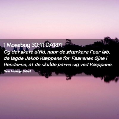 Picture 02 - 1 Mosebog 30:41 DA1871 - Og det skete altid, naar de stærkere Faar løb, - Bible Verse Picture