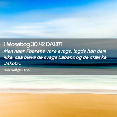 Picture 02 - 1 Mosebog 30:42 DA1871 - Men naar Faarene vare svage, lagde han dem ikke; - Bible Verse Picture