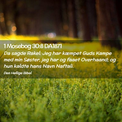 Picture 02 - 1 Mosebog 30:8 DA1871 - Da sagde Rakel: Jeg har kæmpet Guds Kampe med - Bible Verse Picture