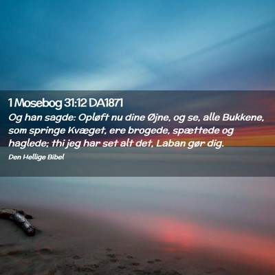 Picture 02 - 1 Mosebog 31:12 DA1871 - Og han sagde: Opløft nu dine Øjne, og se, alle - Bible Verse Picture