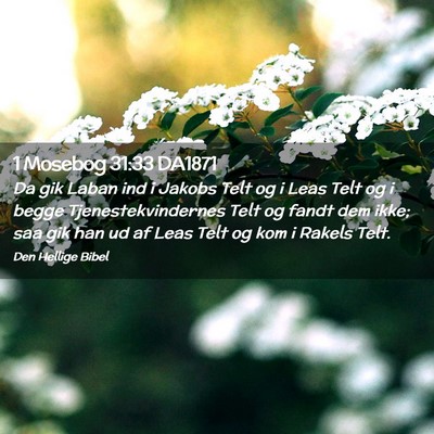 Picture 02 - 1 Mosebog 31:33 DA1871 - Da gik Laban ind i Jakobs Telt og i Leas Telt og - Bible Verse Picture