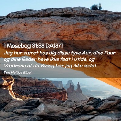 Picture 02 - 1 Mosebog 31:38 DA1871 - Jeg har været hos dig disse tyve Aar, dine Faar - Bible Verse Picture