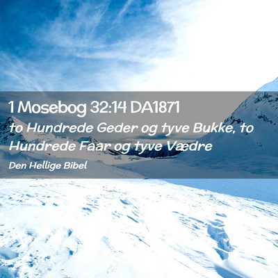 Picture 02 - 1 Mosebog 32:14 DA1871 - to Hundrede Geder og tyve Bukke, to Hundrede Faar - Bible Verse Picture