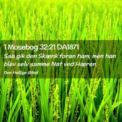 Picture 02 - 1 Mosebog 32:21 DA1871 - Saa gik den Skænk foran ham; men han blev selv - Bible Verse Picture
