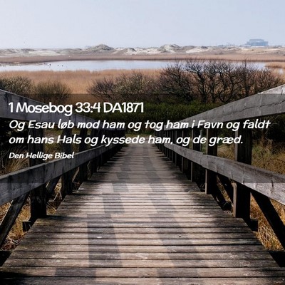 Picture 02 - 1 Mosebog 33:4 DA1871 - Og Esau løb mod ham og tog ham i Favn og faldt - Bible Verse Picture