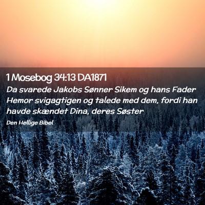 Picture 02 - 1 Mosebog 34:13 DA1871 - Da svarede Jakobs Sønner Sikem og hans Fader - Bible Verse Picture